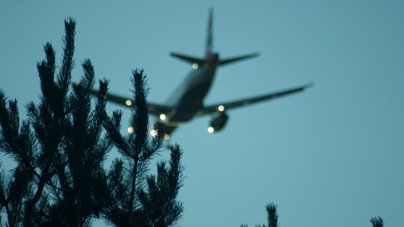 Αναγκαστική προσγείωση – Θεσσαλονίκη: Αναστάτωση για επιβάτες στον αέρα