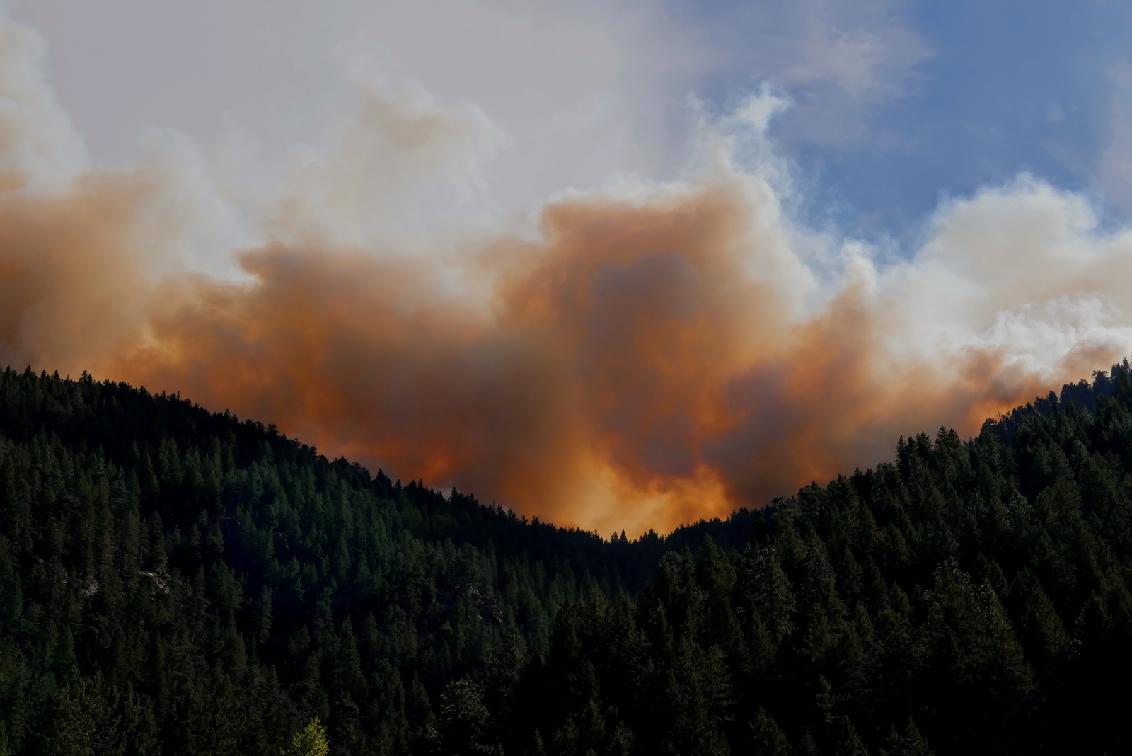 Φωτιά Ξάνθη τώρα: Καίγεται δασική έκταση