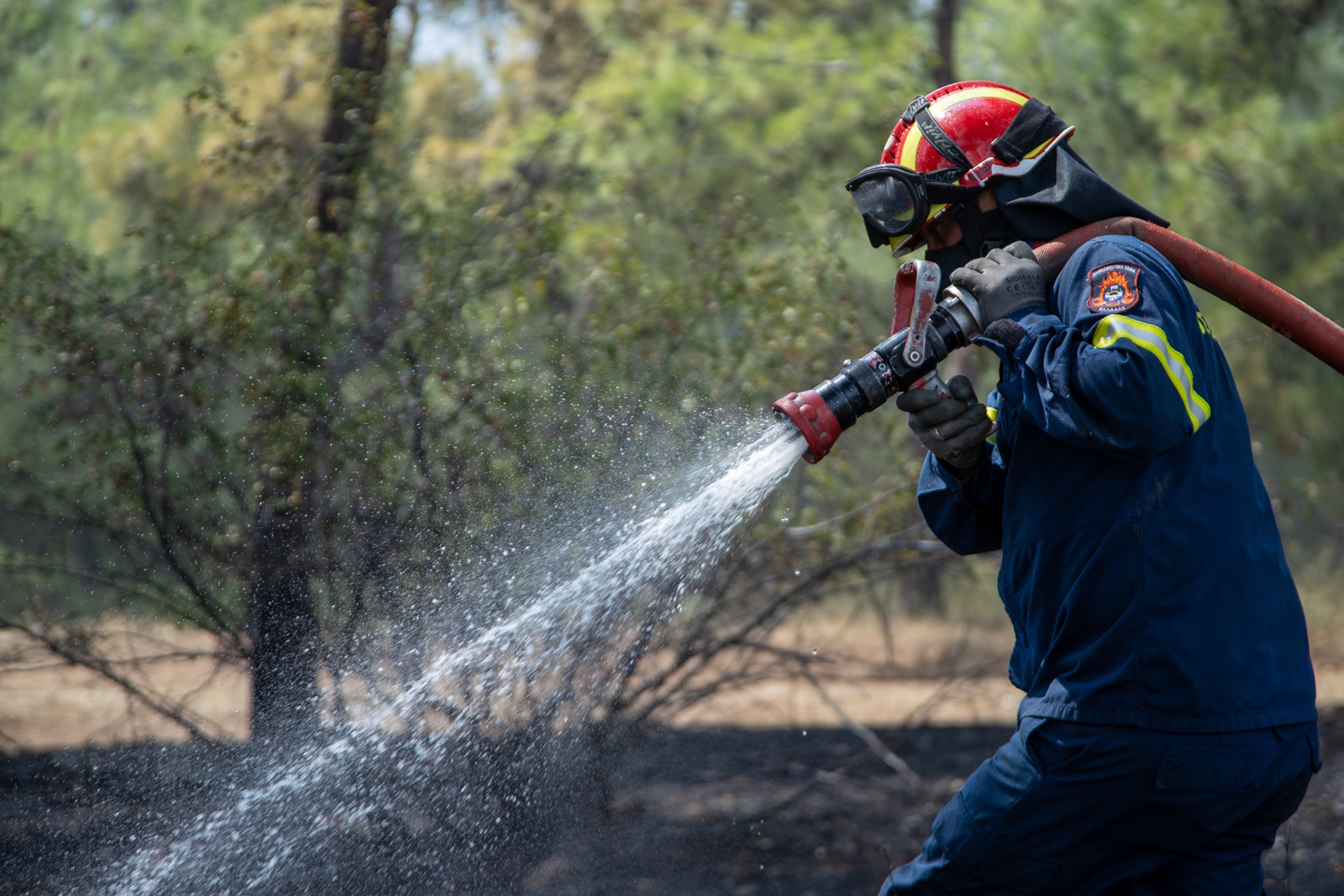 Φωτιά Κεφαλονιά – τώρα: Καίγεται έκταση στα Σβορωνάτα