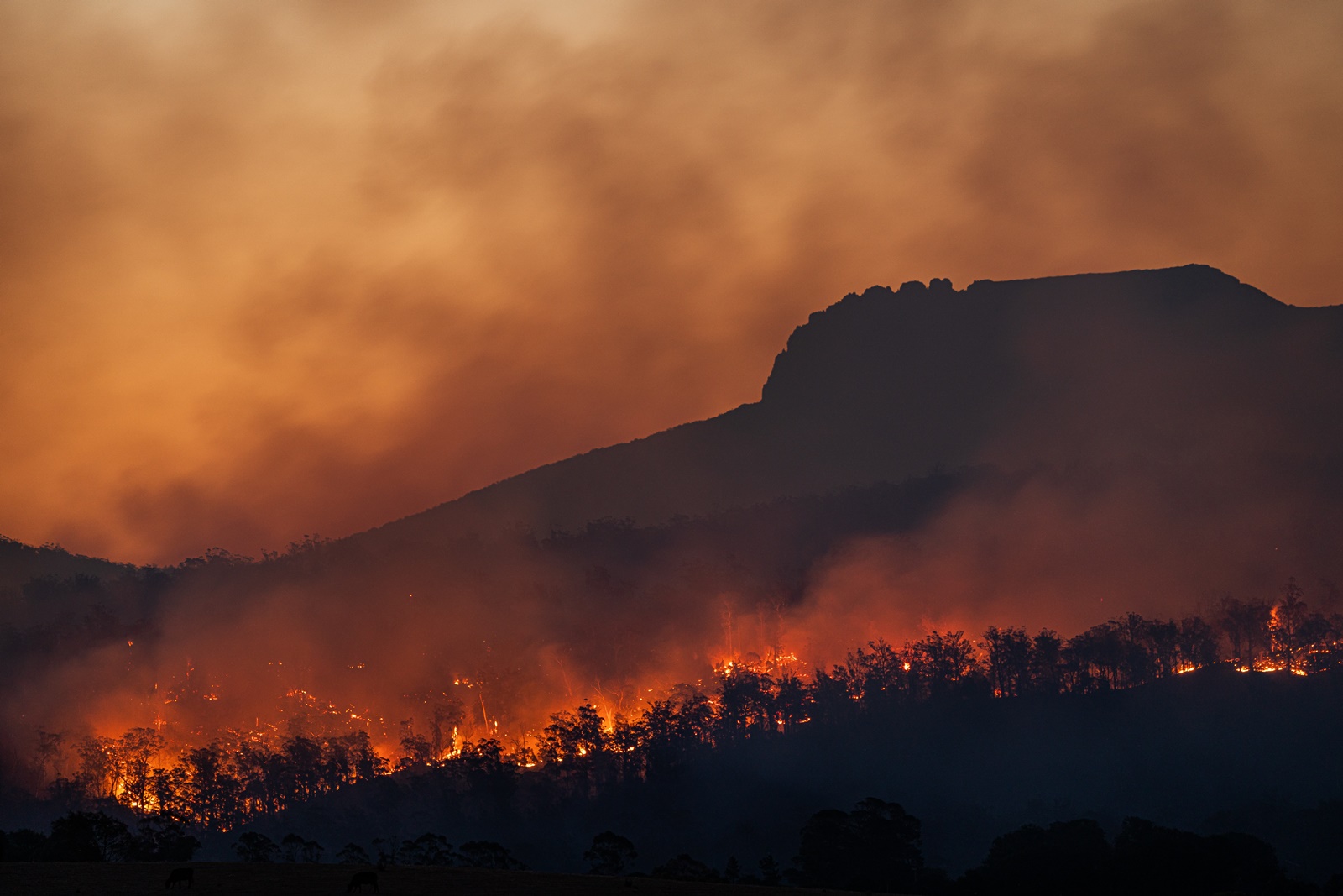 Σύνοδος για το κλίμα – COP27: Η ΕΕ απειλεί με αποχώρηση