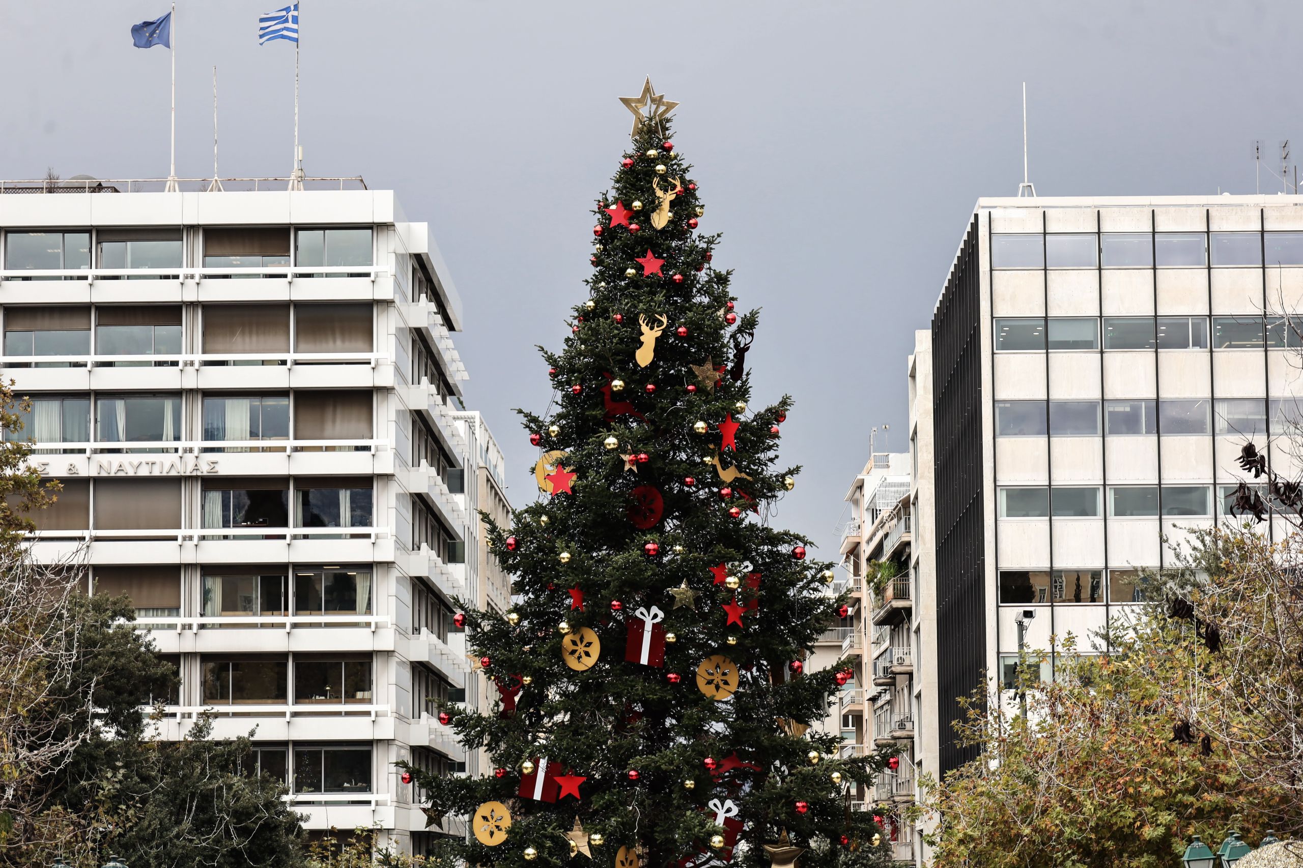 Φωταγώγηση δέντρου – Σύνταγμα: Σήμερα το απόγευμα η εκδήλωση