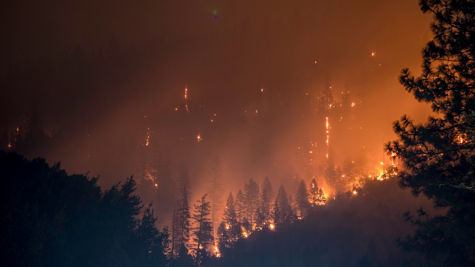 Πυρκαγιές στα δάση 2022 – Ευρώπη: Ρεκόρ καμένων εκτάσεων από φωτιές