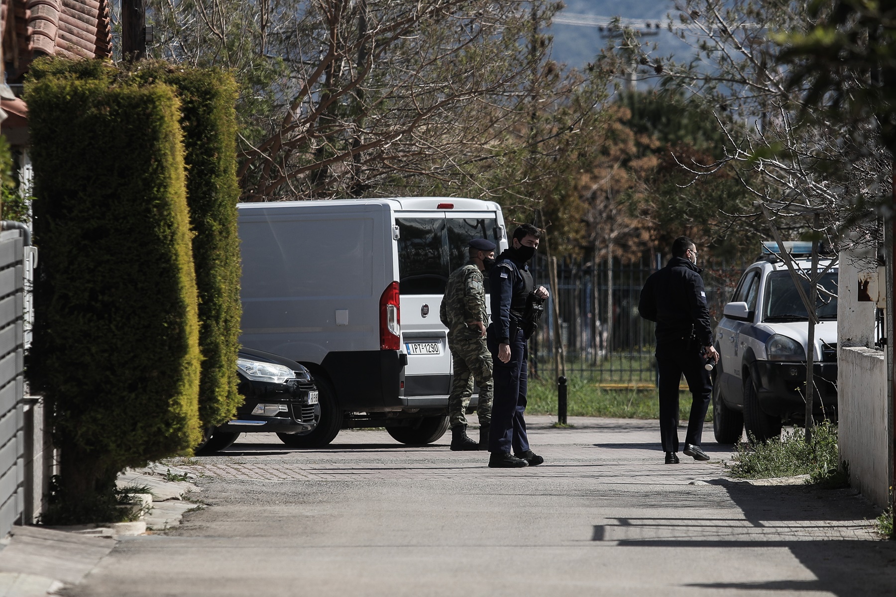 Τα θερμοκήπια έκρυβαν… δάσος κάνναβης