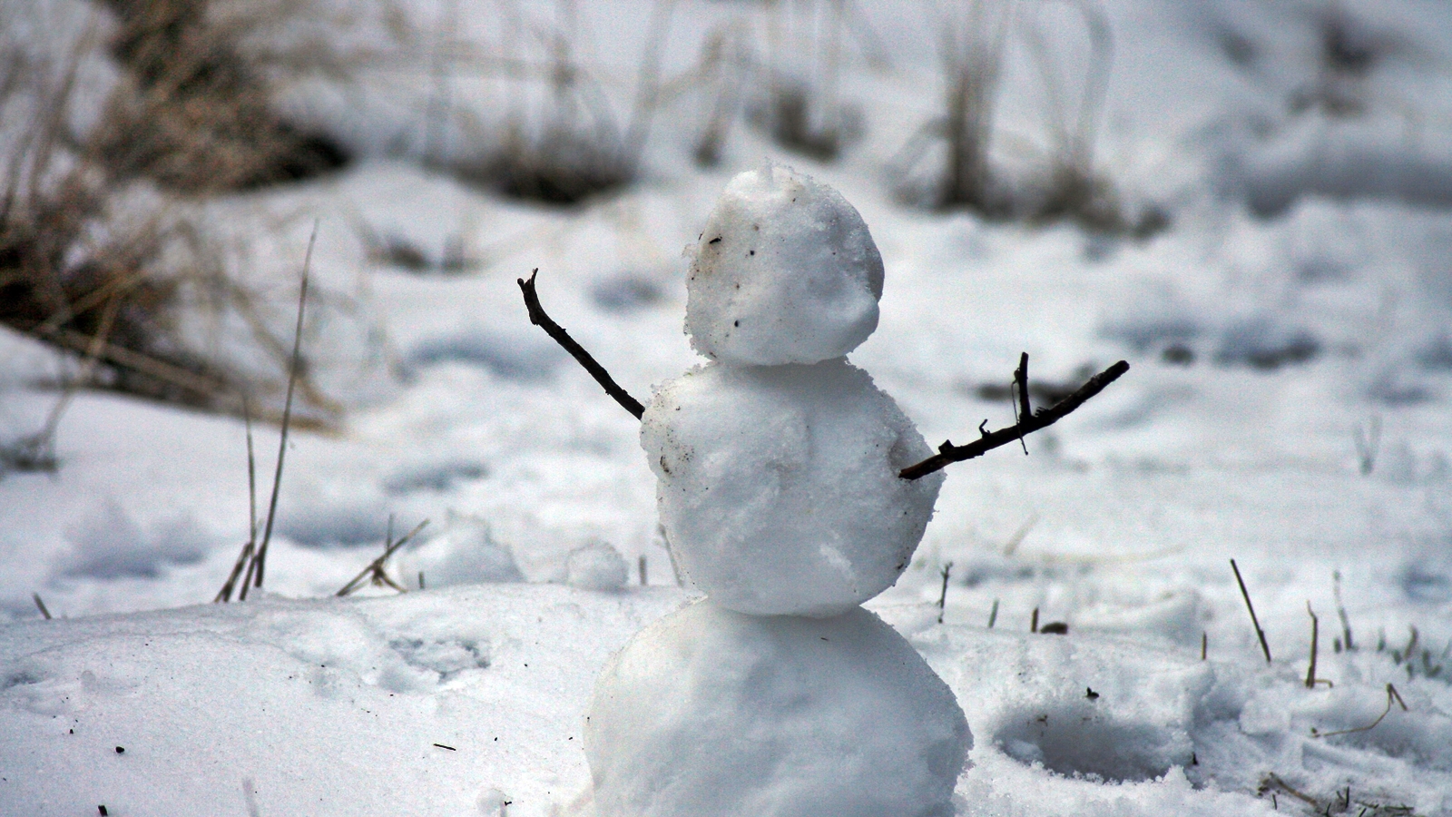 Καιρός – πότε θα χιονίσει: Ο Καλλιάνος προειδοποιεί για «ψυχρή εισβολή» τις επόμενες μέρες