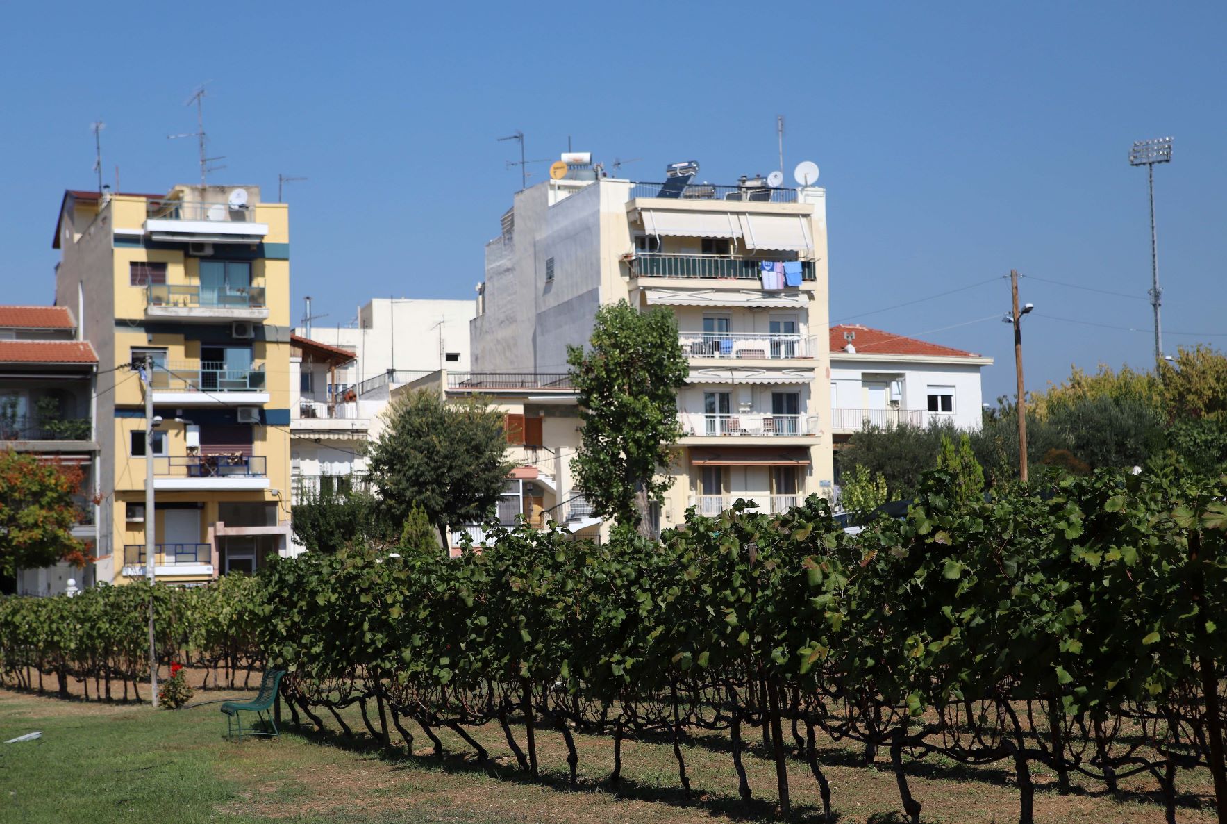 Στο παγκόσμιο δίκτυο πόλεων με αστικούς αμπελώνες εντάσσεται η Θεσσαλονίκη