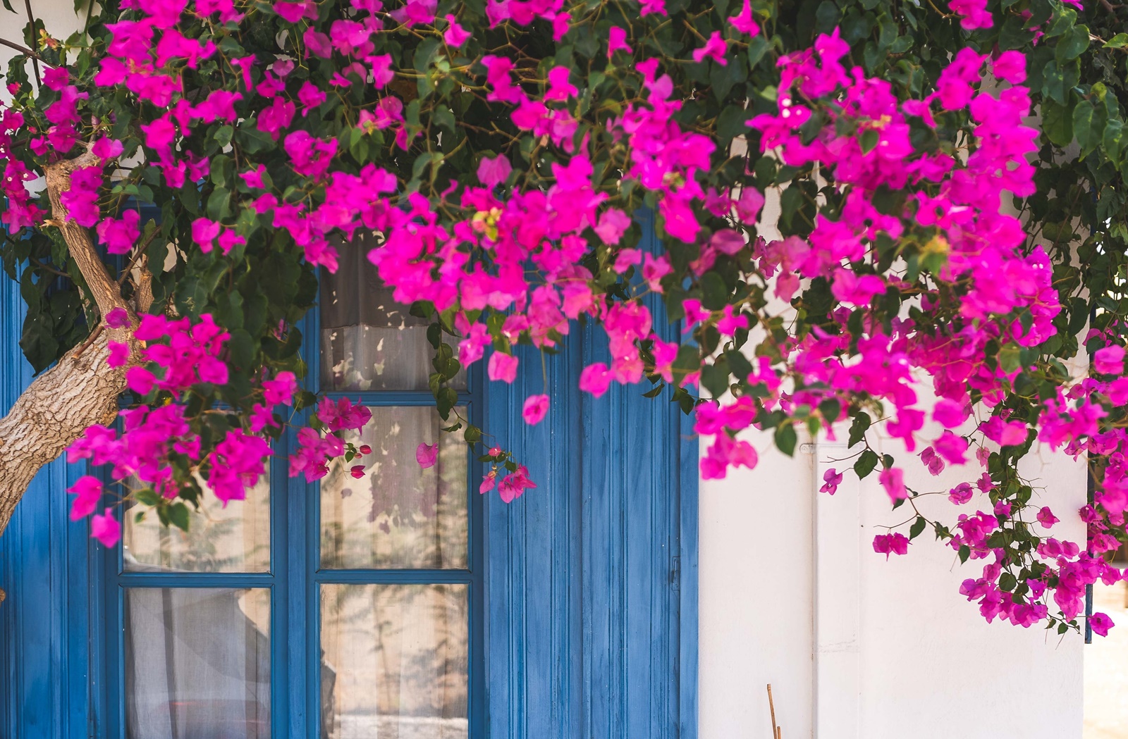 Φλώρινα νεκρός: Θρίλερ με 48χρονο