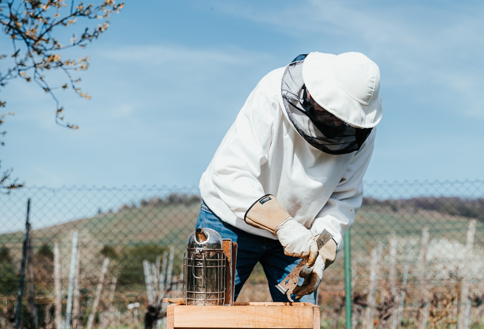 Ενίσχυση μελισσοκόμων 2023 δικαιούχοι: Τα ποσά που θα δοθούν