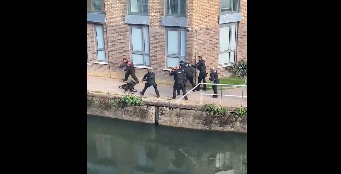 Θανάτωση σκύλων Λονδίνο: Σκηνές σοκ, γιατί οι αστυνομικοί τα πυροβόλησαν