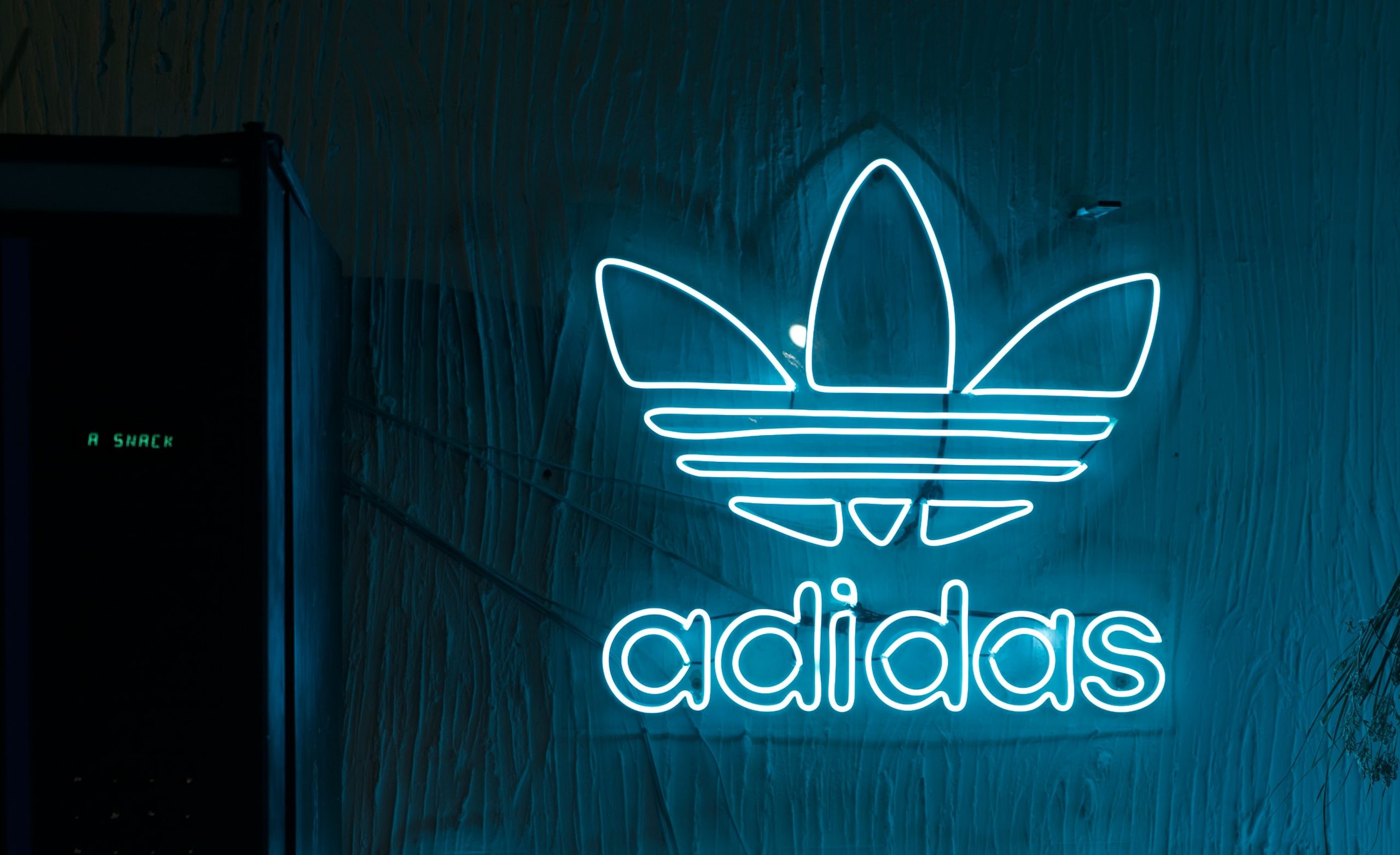 Adidas μαγιό 2023: Σάλος με τη διαφήμιση με μοντέλα άνδρες