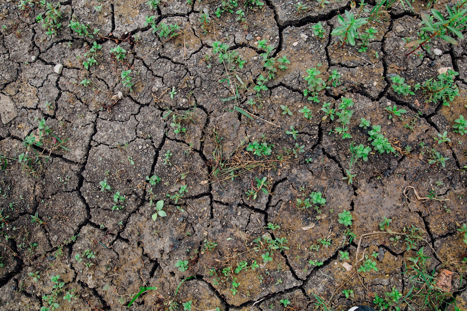 Ξηρασία στην Ευρώπη: Ανησυχία προκαλούν τα έως τώρα στοιχεία