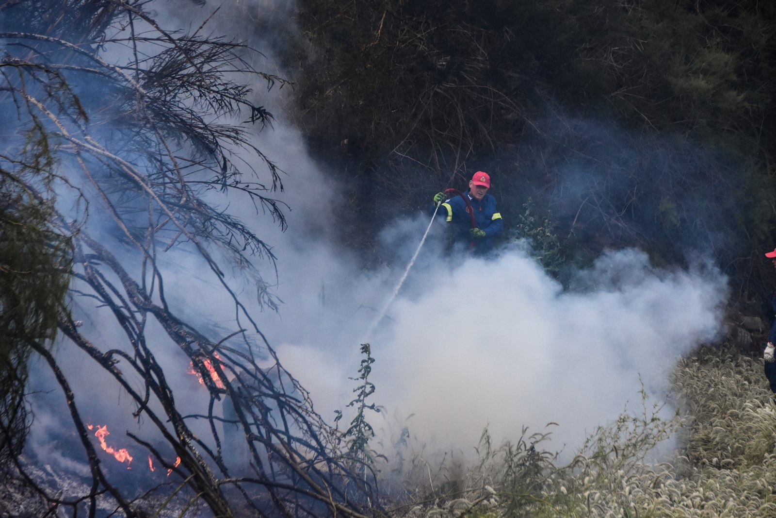 Φωτιά Αρτέμιδα τώρα: Οριοθετήθηκε η πυρκαγιά