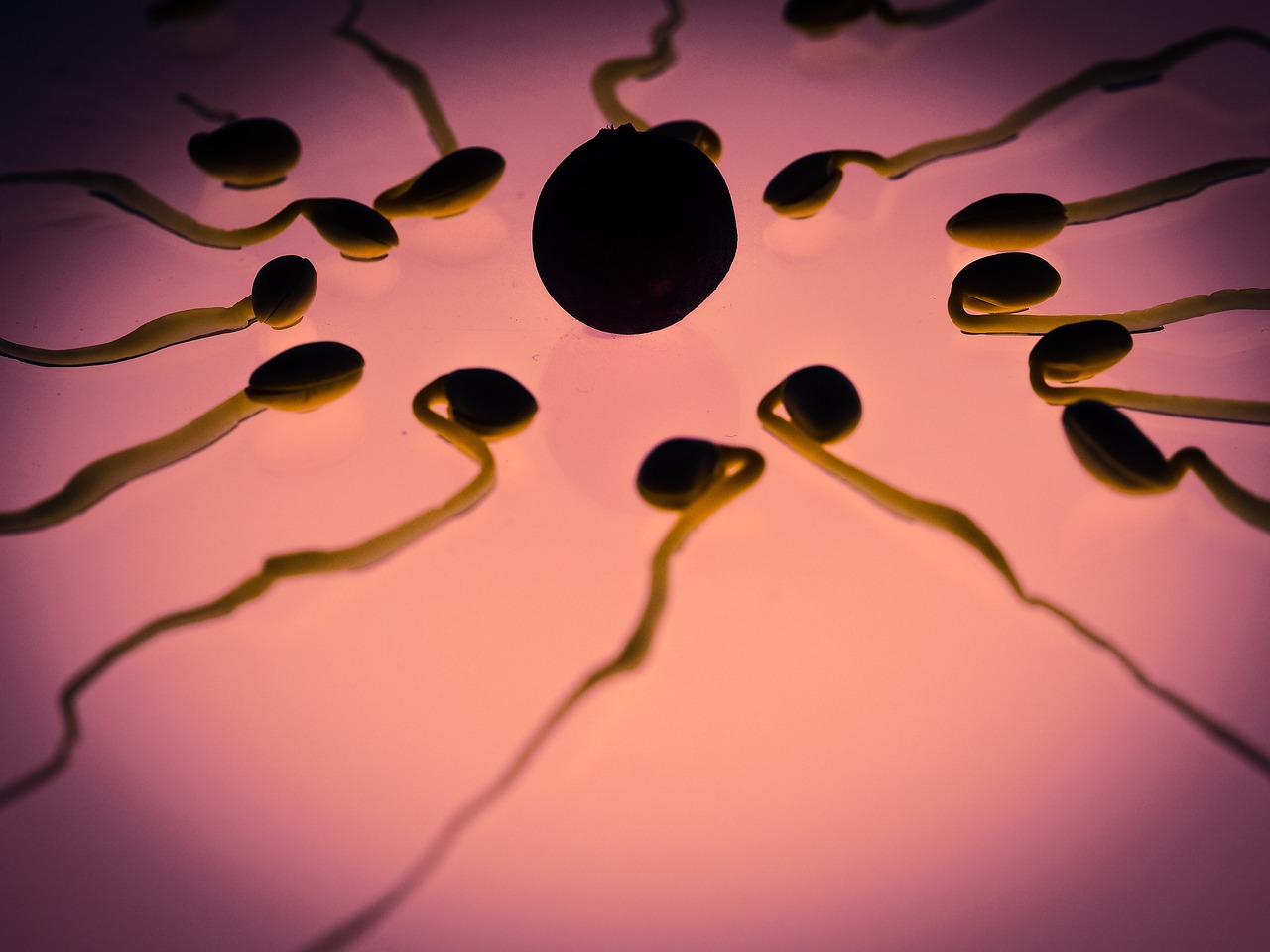 Δωρητής σπέρματος: Πατέρας… 65 παιδιών περιγράφει πώς… το διαχειρίζεται
