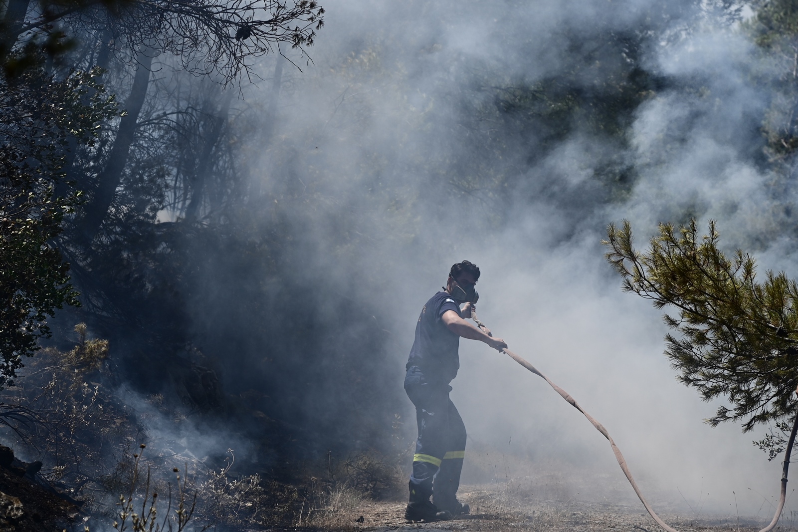 Συρία φωτιά 2023: Δασικές πυρκαγιές ξέσπασαν κεντρικά και ανατολικά της χώρας