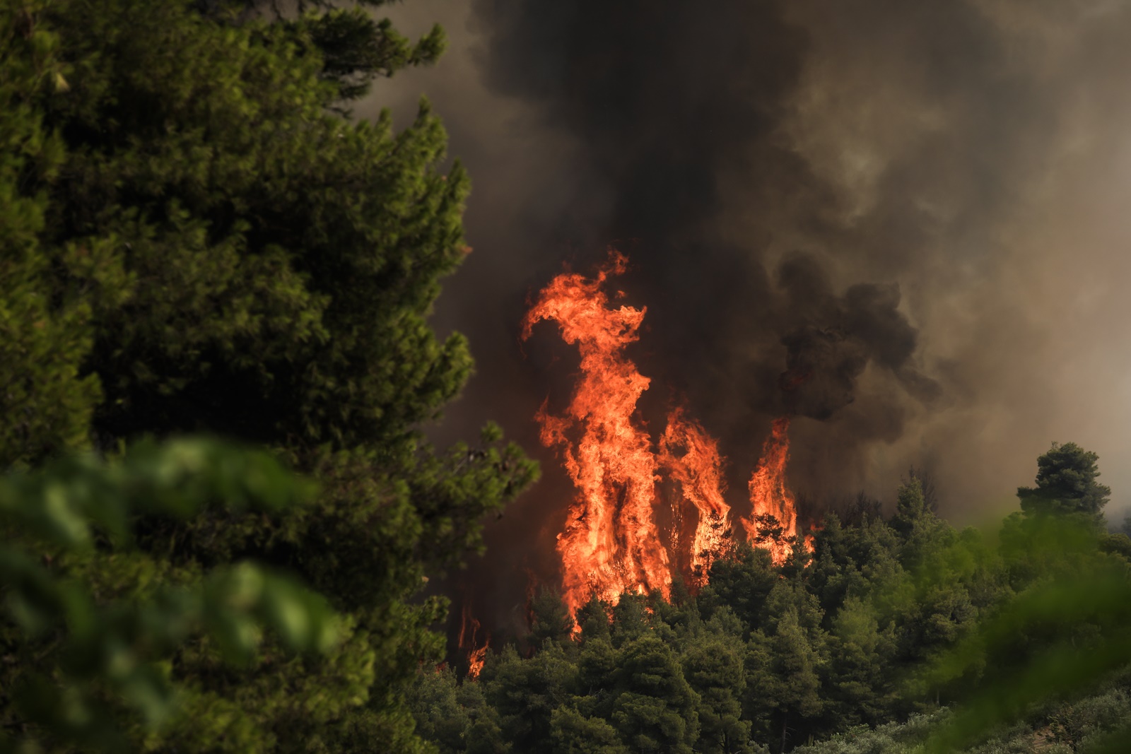 Μέγαρα φωτιά τώρα: Μήνυμα 112 για εκκένωση στην περιοχή Κανδήλι