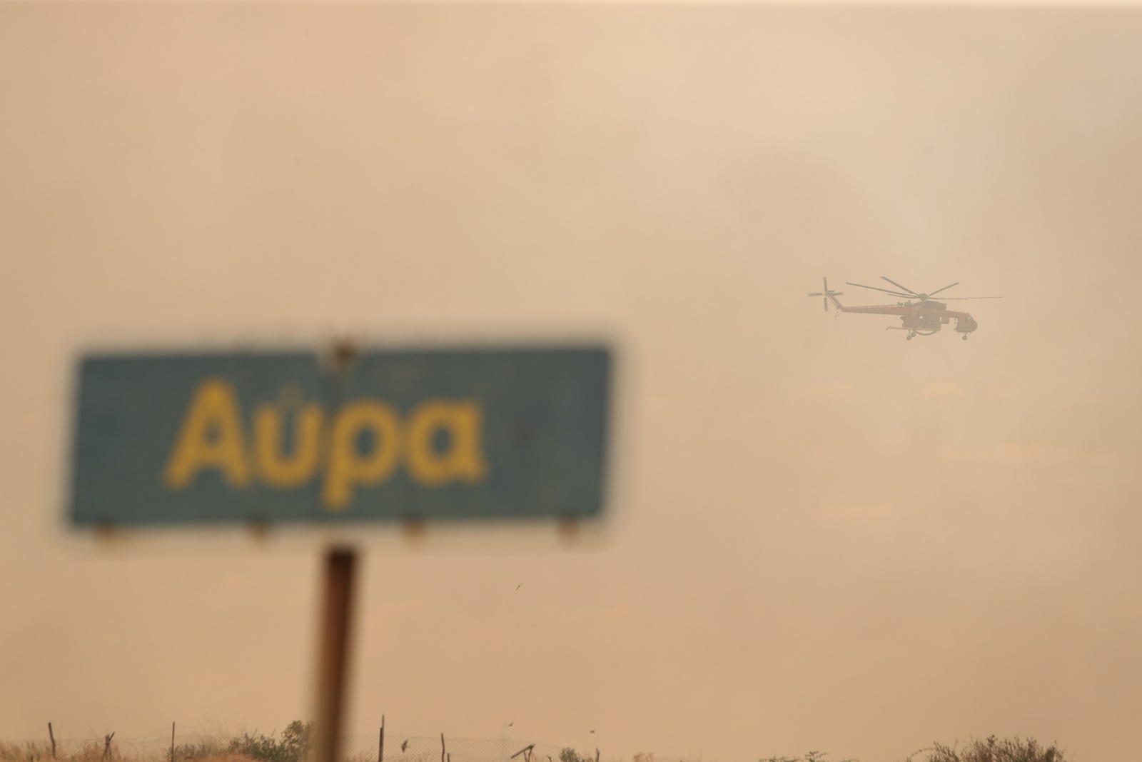 Φωτιά στην Αλεξανδρούπολη: Κάηκαν 910 ζώα, πάνω από 50 ποιμνιοστάσια