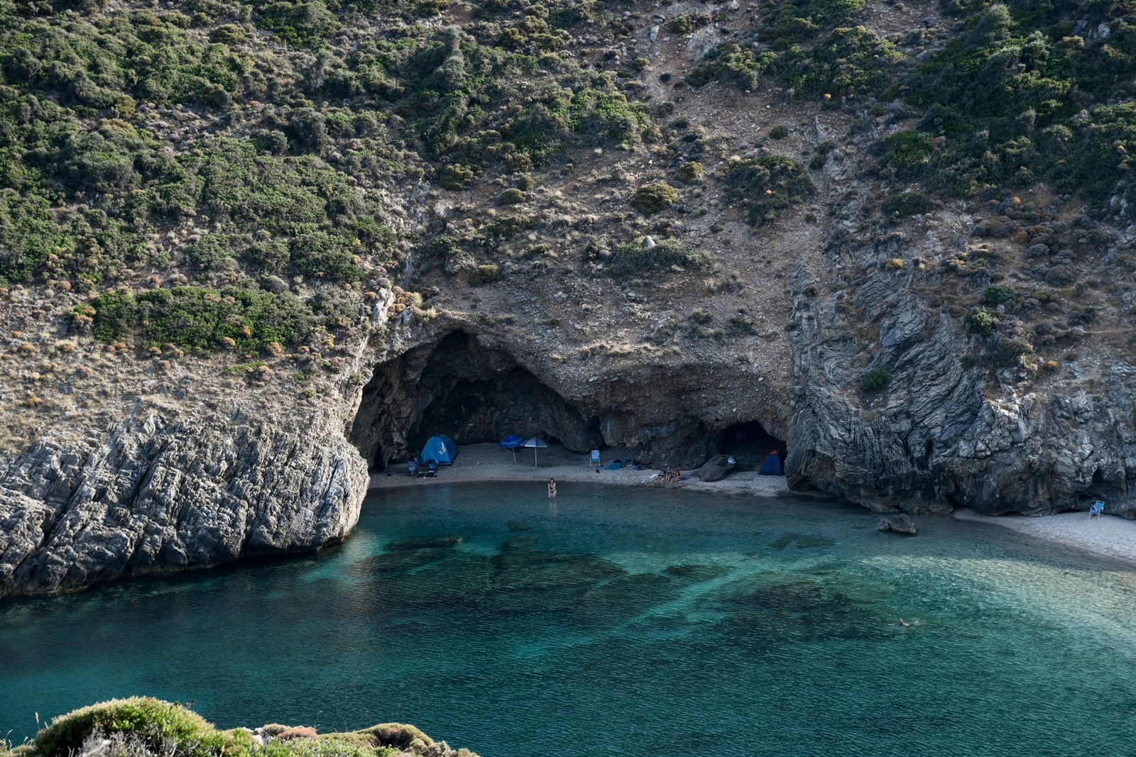 Φίδι στη θάλασσα – Εύβοια: Δεντρογαλιά… βγήκε για κολύμπι