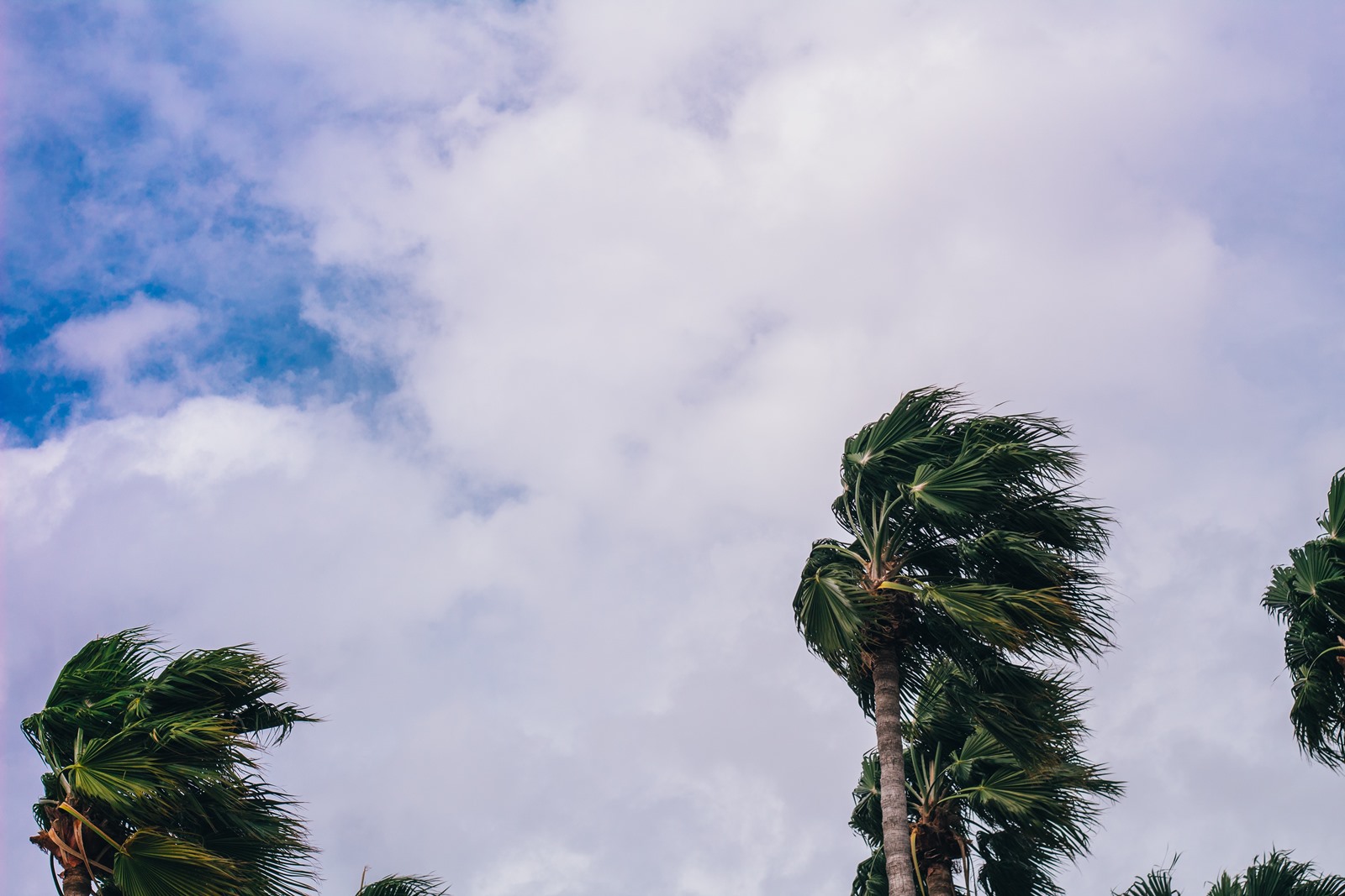 Τυφώνας Idalia Φλόριντα: Κόβουν την ανάσα τα πλάνα που μετέδωσε η NASA