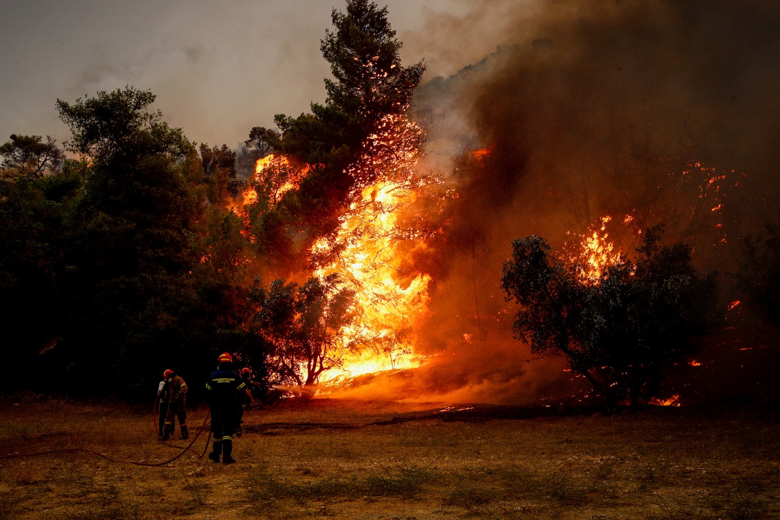 Φωτιές Ελλάδα τώρα: Συνεχίζεται η μάχη με τις αναζωπυρώσεις σε Πάρνηθα, Έβρο, Ροδόπη, Βοιωτία