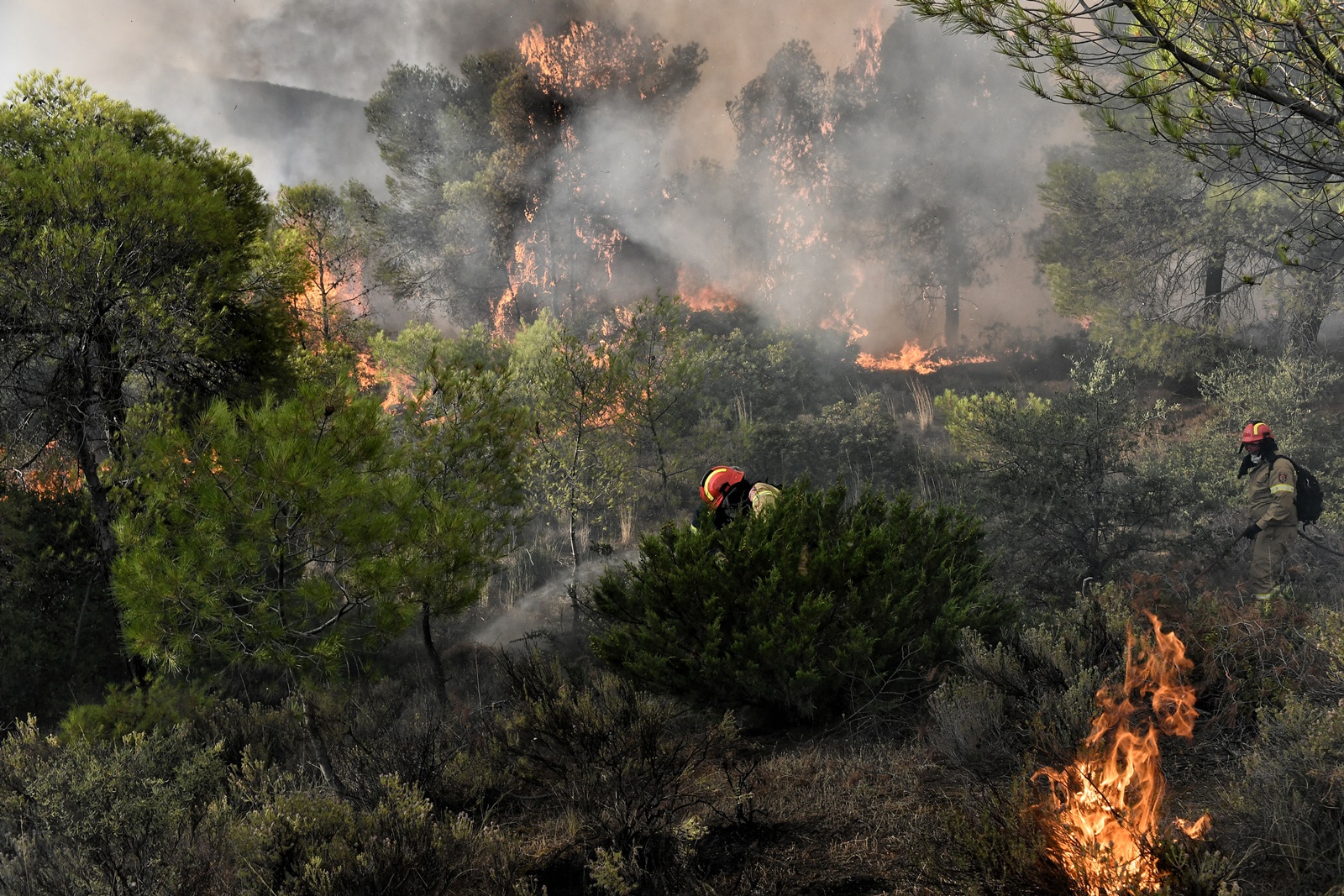 Όλυμπος φωτιά τώρα: Η πυρκαγιά ξέσπασε σε δύσβατη πευκόφυτη περιοχή