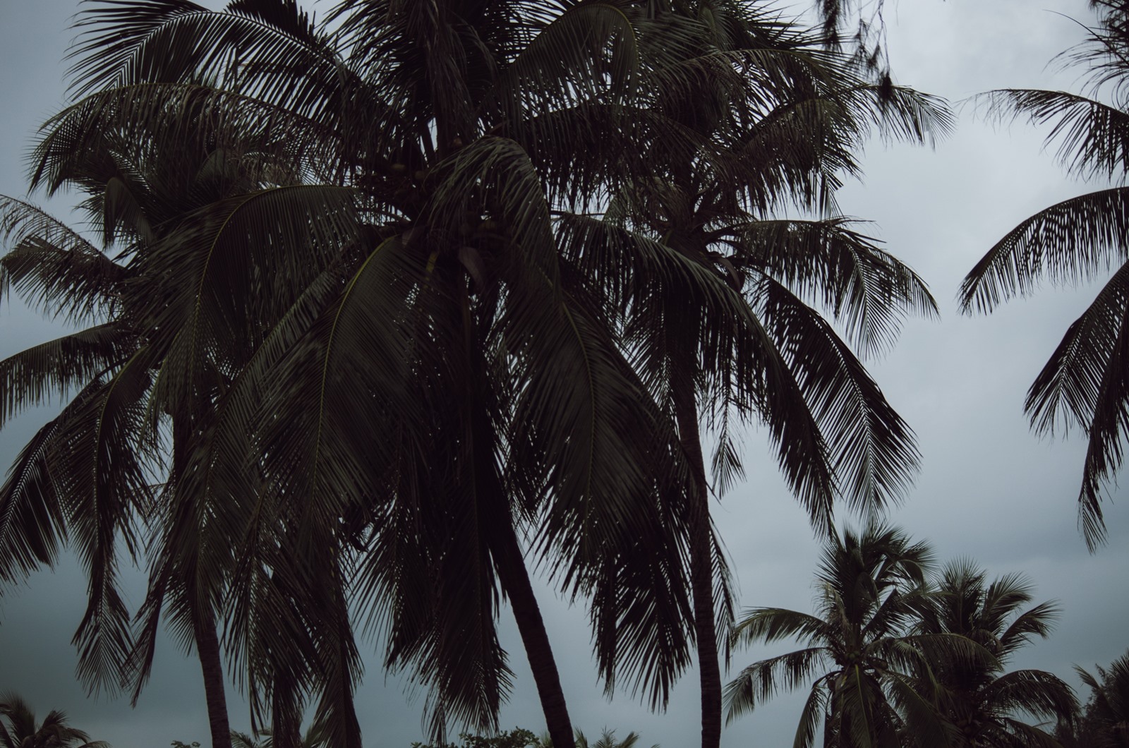 Τυφώνας Idalia Φλόριντα: Με ταχύτητα 205 χλμ/ώρα έφθασε στις ακτές