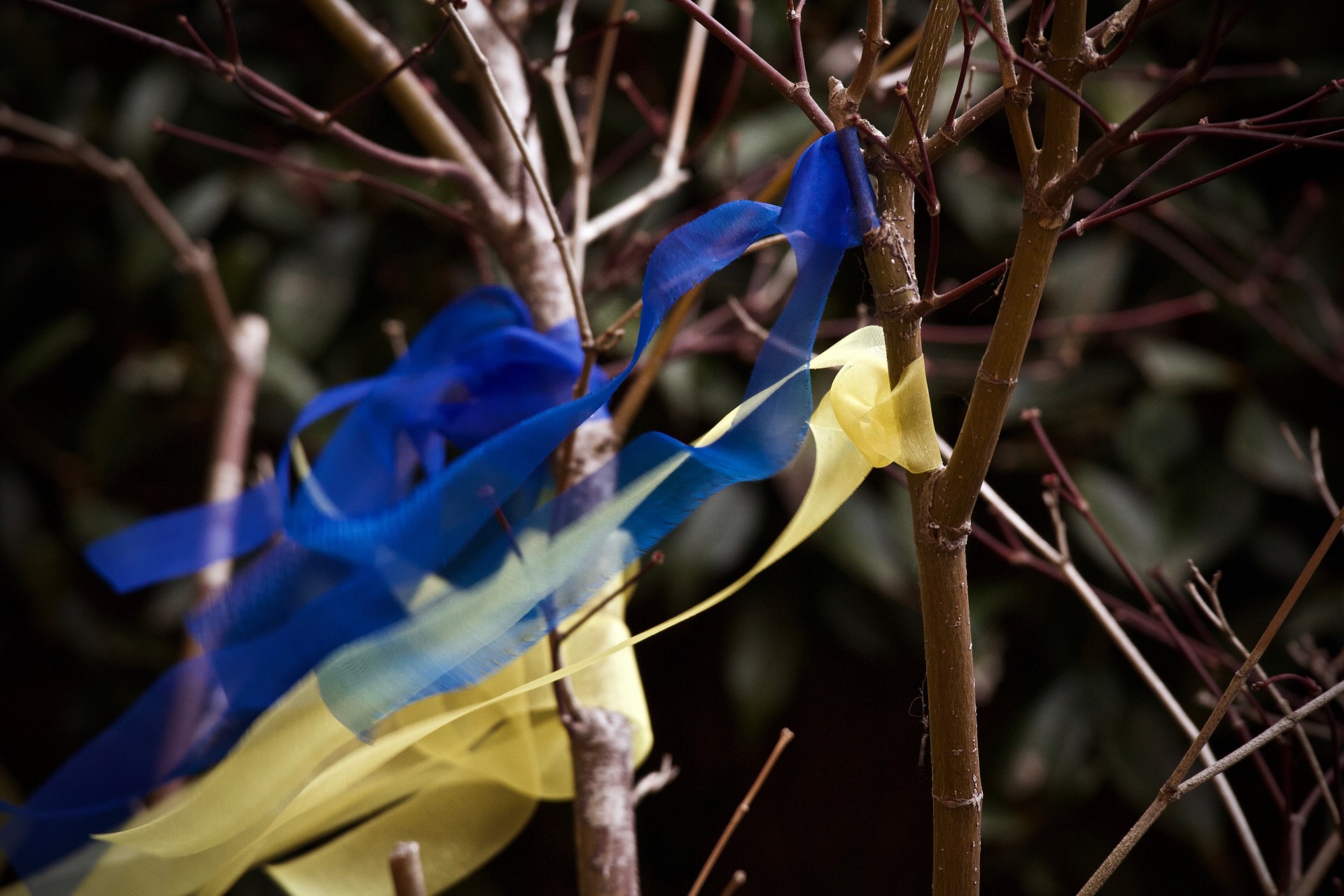 Ουκρανές αδελφές νεκροταφείο: Σάλος με το twerking νεαρών
