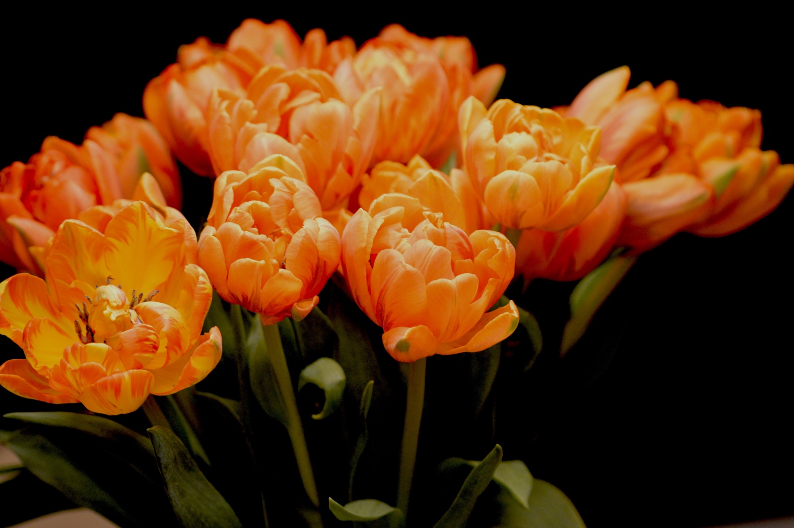 Φθινοπωρινά λουλούδια για μπαλκόνι: Πώς θα δώσετε χρώμα στις γλάστρες σας