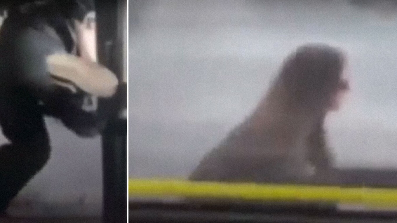 Πήδηξε από το παράθυρο λεωφορείου: Το βίντεο που κάνει το γύρο του διαδικτύου