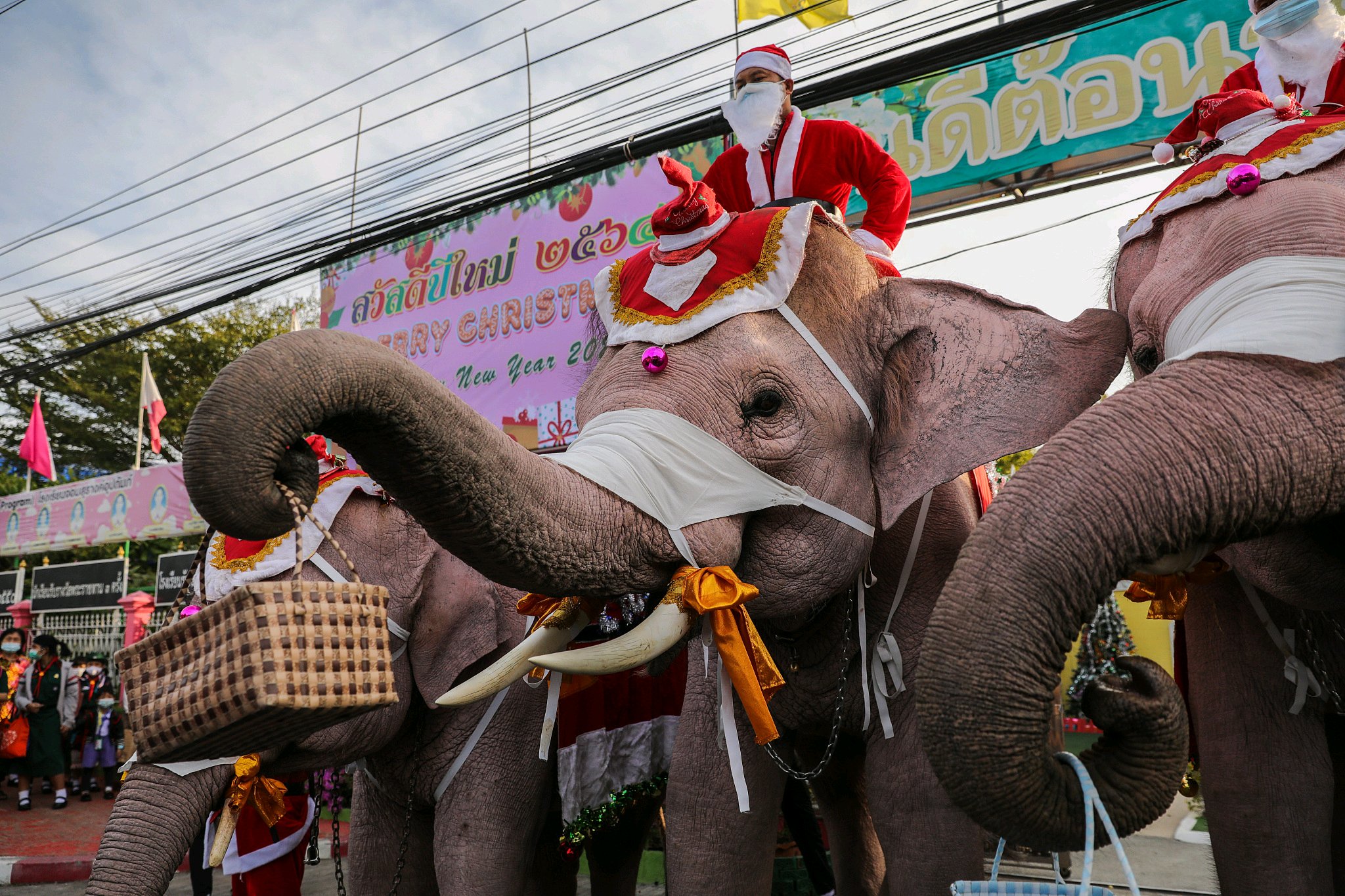 Ελέφαντες Ταϊλάνδη: Τα γιγάντια ζώα ντυμένα Άγιοι Βασίληδες μοίραζαν δώρα