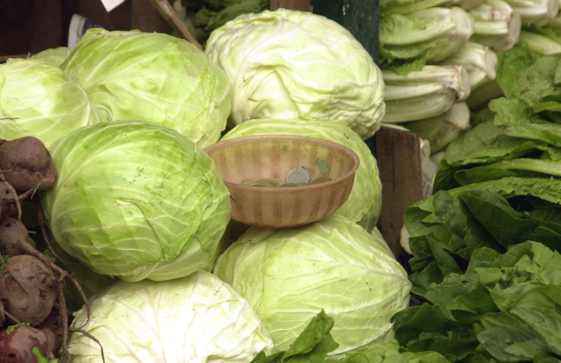 Ποιοι δεν πρέπει να τρώνε λάχανο: Επιβλαβές για κάποιες κατηγορίες ανθρώπων