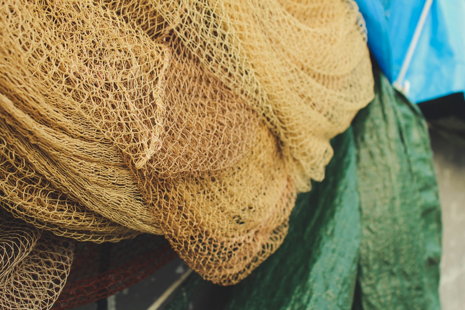 Tόνος 485 κιλών Αστακός: Μια απίστευτη ψαριά
