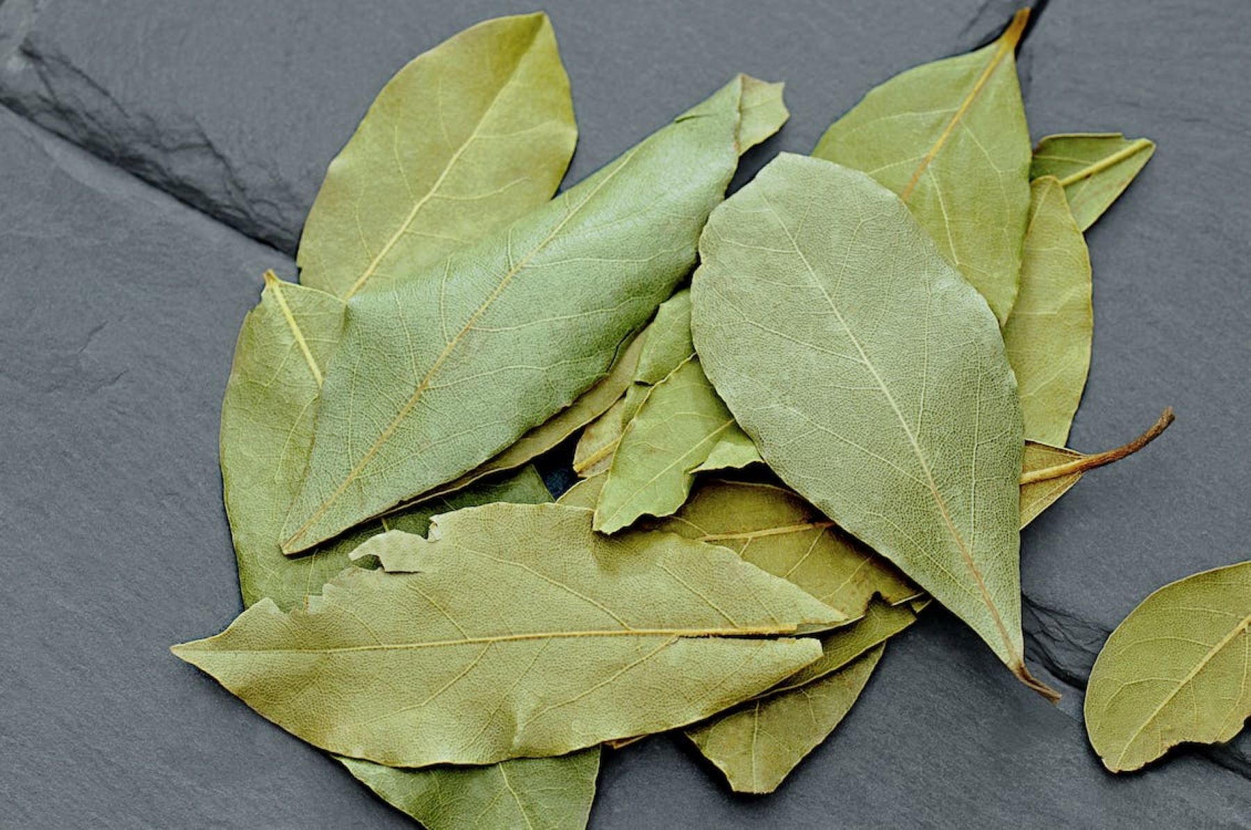 Φύλλα δάφνης οφέλη: Σημαντικές ιδιότητες και σύμμαχος για την υγεία