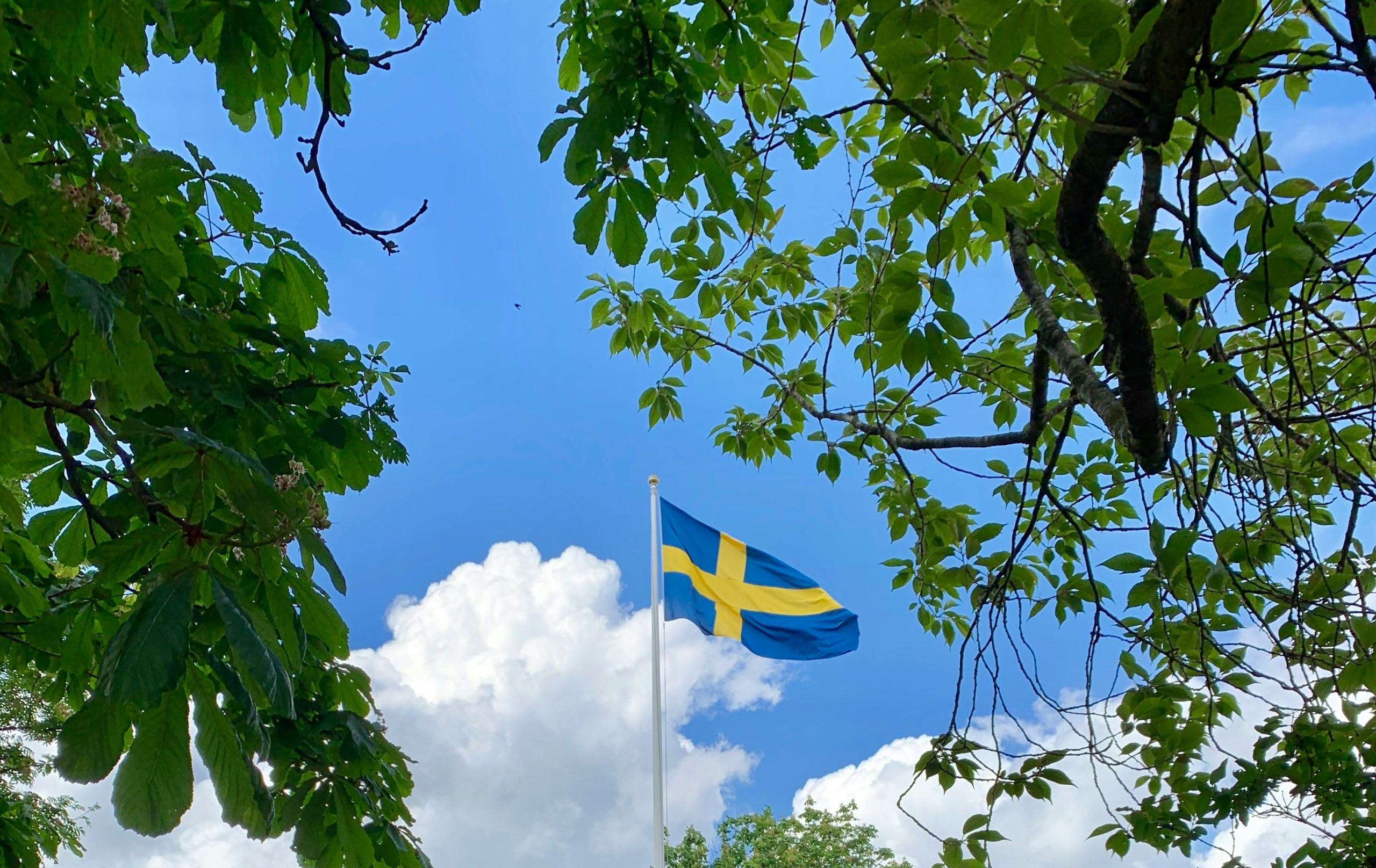 Σουηδία ΝΑΤΟ: Ενισχύεται η Συμμαχία
