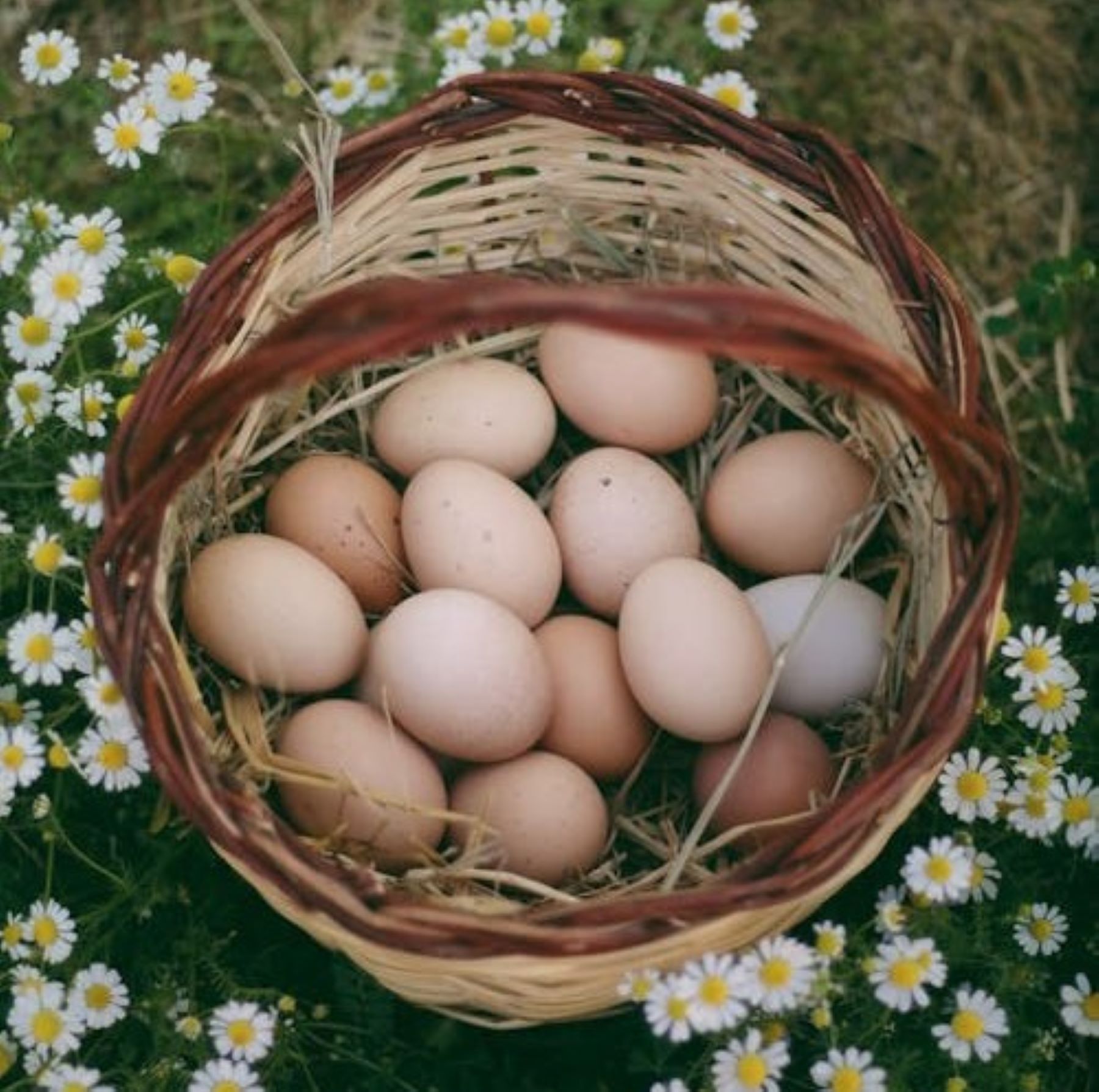 Πώς αποθηκεύουμε τα αυγά στο ψυγείο: TikToker εξηγεί το σωστό τρόπο