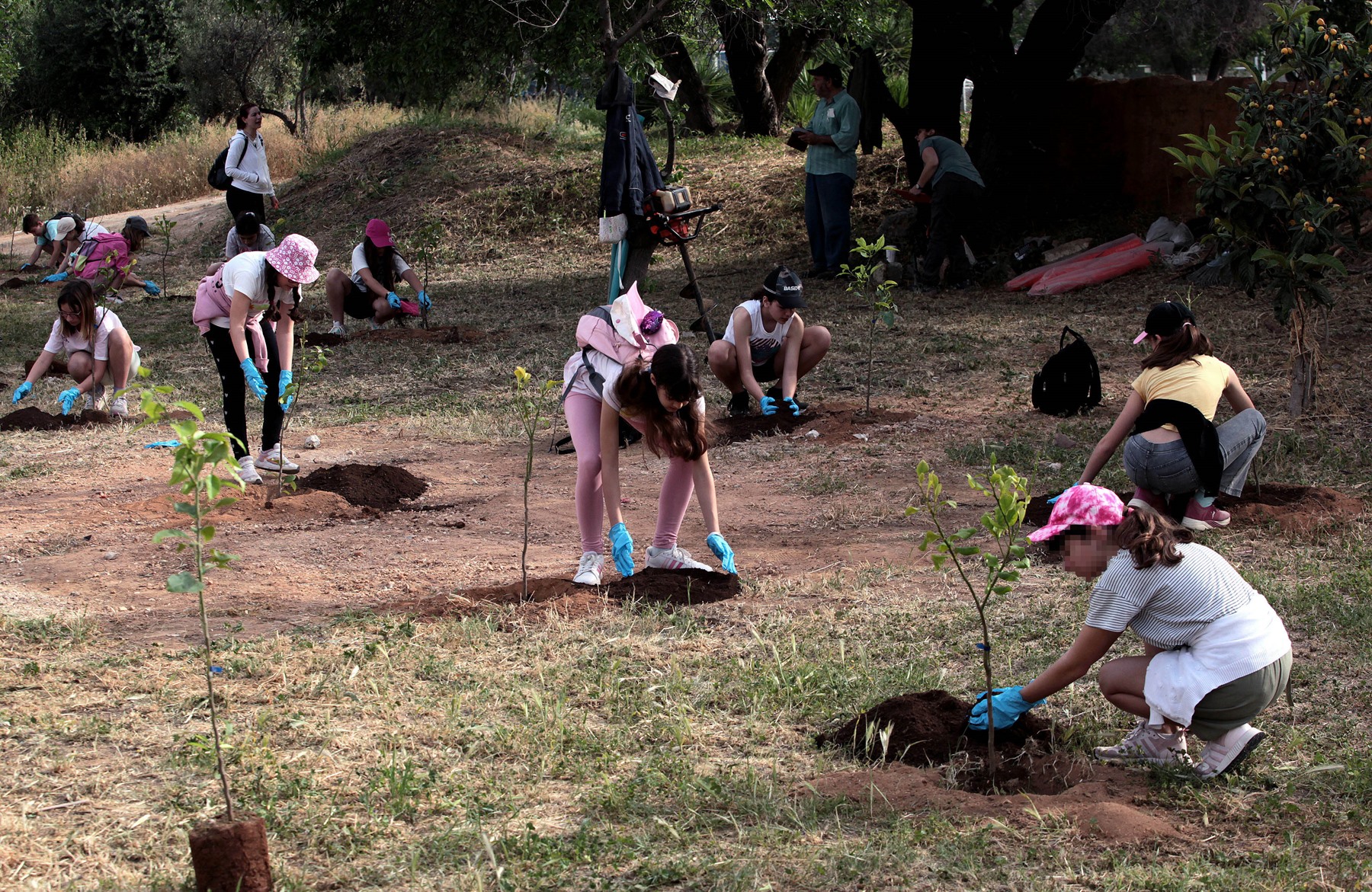 Δενδροφύτευση Δήμος Χαλανδρίου: 55 δένδρα με τη συμμετοχή μαθητών