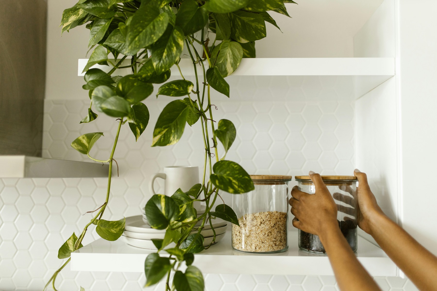 Πώς να καθαρίσω τα ντουλάπια της κουζίνας εξωτερικά: Απλοί τρόποι με 2 φυσικά υλικά