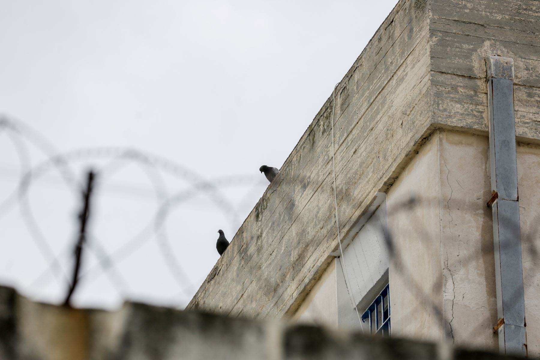Αποφυλάκιση σωφρονιστικών υπαλλήλων Θεσσαλονίκη: Οι δύο άνδρες είχαν καταδικαστεί με πολυετείς ποινές