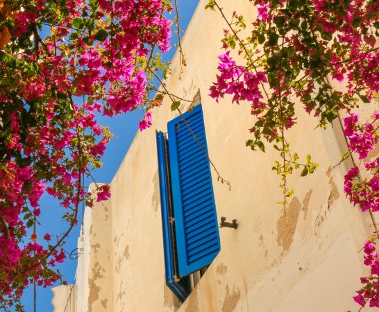 Μητρώο Ιδιοκτησίας και Διαχείρισης Ακινήτων: Τι αλλάζει για ιδιοκτήτες και ενοικιαστές από το καλοκαίρι