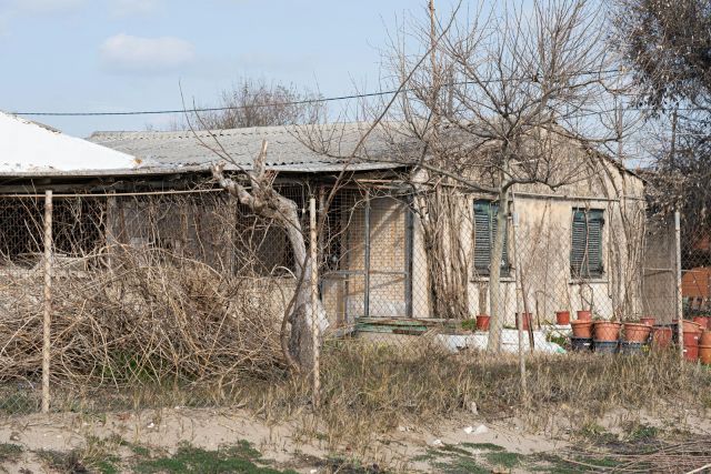 Ένα λιοντάρι στην κουζίνα: Τρόμος για οικογένεια στην Ινδία