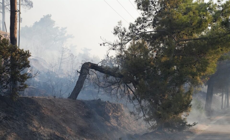 ΚΕΔΕ: Καλεί τους Δήμους σε άμεση βοήθεια προς τη δοκιμαζόμενη Χίο