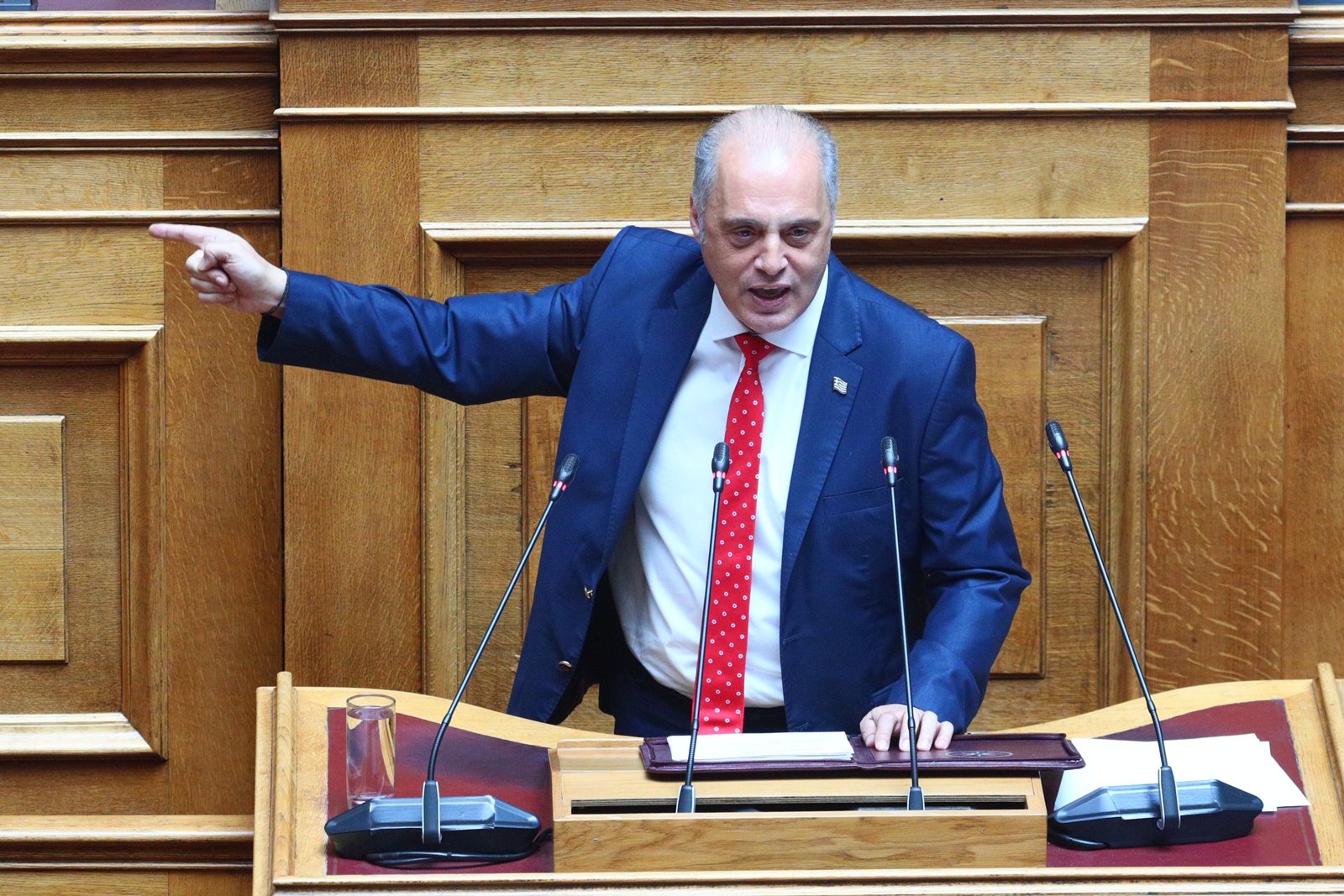 Βελόπουλος στη Βουλή: Καλοσωρίζουμε, έστω και αργά, τους Καραμανλή και Σαμαρά στις θέσεις της Ελληνικής Λύσης